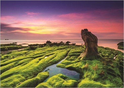 Les plages du Vietnam, chefs-d'œuvre de la nature ảnh 3 Les plages du Vietnam, chefs-d'œuvre de la nature ảnh 3