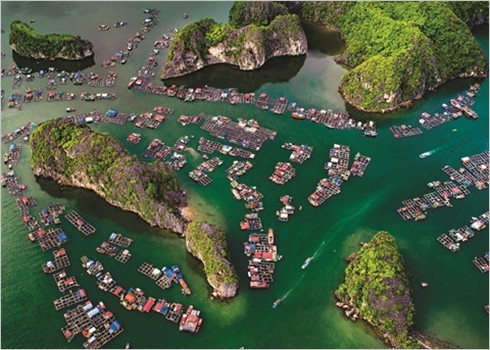 Les plages du Vietnam, chefs-d'œuvre de la nature ảnh 2 Les plages du Vietnam, chefs-d'œuvre de la nature ảnh 2
