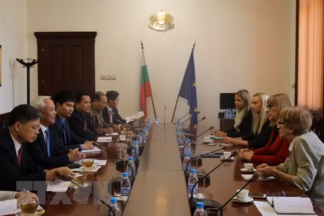 Vietnam et Bulgarie élargissent leur coopération dans divers domaines ảnh 1