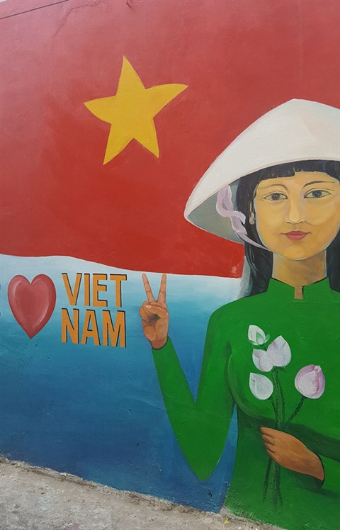 Dà Nang: des fresques murales en plein cœur de la ville ảnh 9