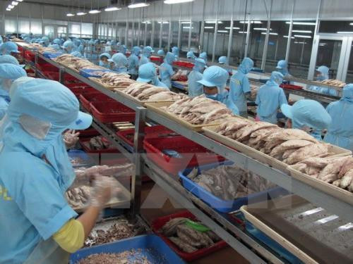 Des avantages apportés par des ALE pour l’aquaculture du Vietnam ảnh 1 Des avantages apportés par des ALE pour l’aquaculture du Vietnam ảnh 1