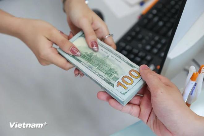 Augmentation rapide du taux de change: une intervention de la BEV ảnh 1 Augmentation rapide du taux de change: une intervention de la BEV ảnh 1