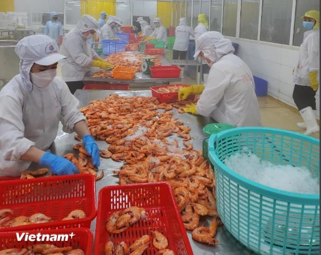 BAD : L'économie vietnamienne connaît une croissance constante ảnh 2 BAD : L'économie vietnamienne connaît une croissance constante ảnh 2