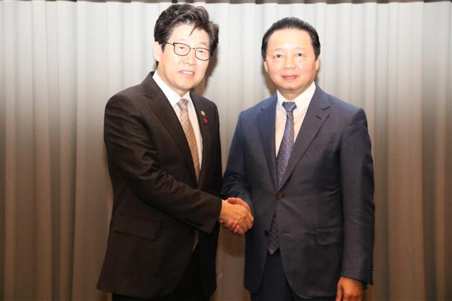 Environnement : la République de Corée est prête à aider le Vietnam ảnh 1 Environnement : la République de Corée est prête à aider le Vietnam ảnh 1