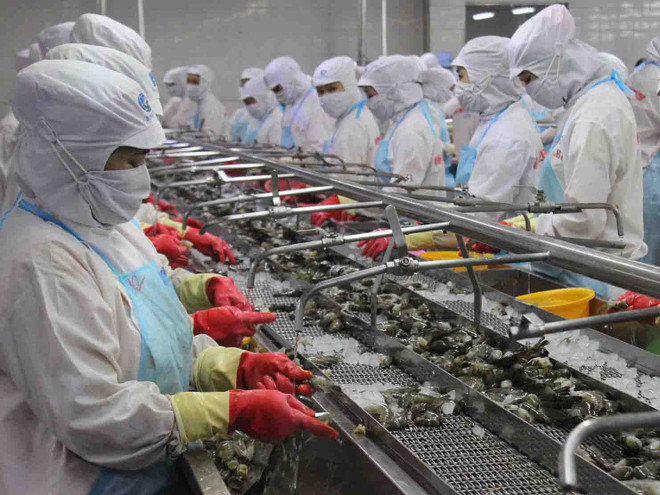 Le Vietnam, 3e exportateur de crevettes aux Etats-Unis en octobre ảnh 1 Le Vietnam, 3e exportateur de crevettes aux Etats-Unis en octobre ảnh 1