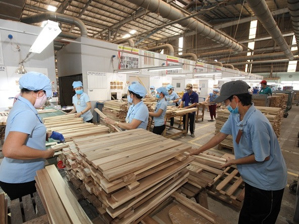 Les exportations de produits sylvicoles atteignent un record de 9,3 milliards de dollars ảnh 1