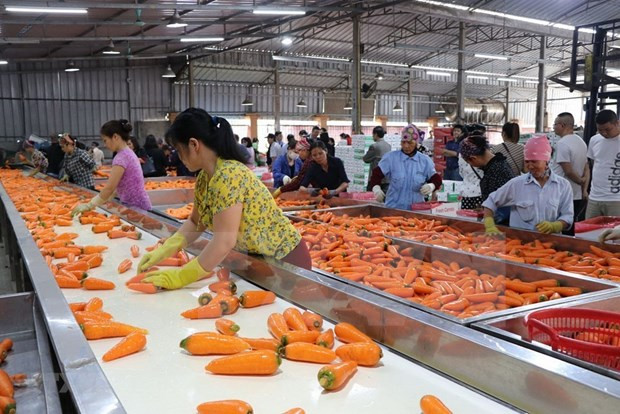 Vinh Phuc promeut l'industrie de transformation agricole ảnh 1 Vinh Phuc promeut l'industrie de transformation agricole ảnh 1