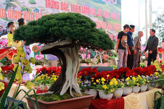 Clôture des événements organisés dans le cadre du Festival des fleurs de Da Lat 2019 ảnh 2 Clôture des événements organisés dans le cadre du Festival des fleurs de Da Lat 2019 ảnh 2