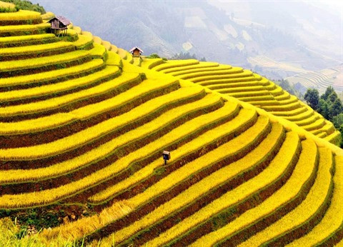 Nord-Ouest: La belle saison de Lào Cai arrive ảnh 1 Nord-Ouest: La belle saison de Lào Cai arrive ảnh 1
