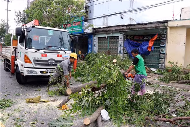 Contrôle du règlement des conséquences du typhon No9 à Quang Ngai ảnh 1