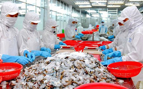 Produits aquatiques: les exportations vers le Moyen-Orient et l'Afrique sont florissantes ảnh 1 Produits aquatiques: les exportations vers le Moyen-Orient et l'Afrique sont florissantes ảnh 1