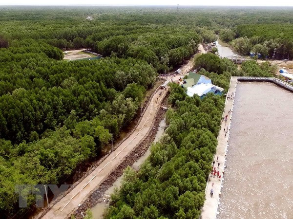 Climat : mise en oeuvre de plusieurs projets dans le delta du Mékong ảnh 1 Climat : mise en oeuvre de plusieurs projets dans le delta du Mékong ảnh 1