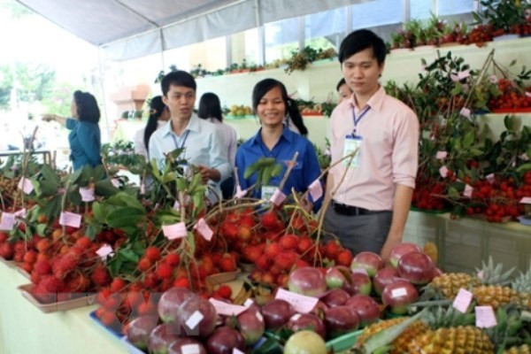 Aider les entreprises dans l’exportation des produits vers la R. de Corée ảnh 1 Aider les entreprises dans l’exportation des produits vers la R. de Corée ảnh 1