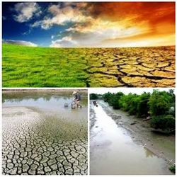 L'UNICEF aide le Vietnam à surmonter la sécheresse et la salinisation ảnh 1