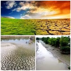 L'UNICEF aide le Vietnam à surmonter la sécheresse et la salinisation ảnh 1