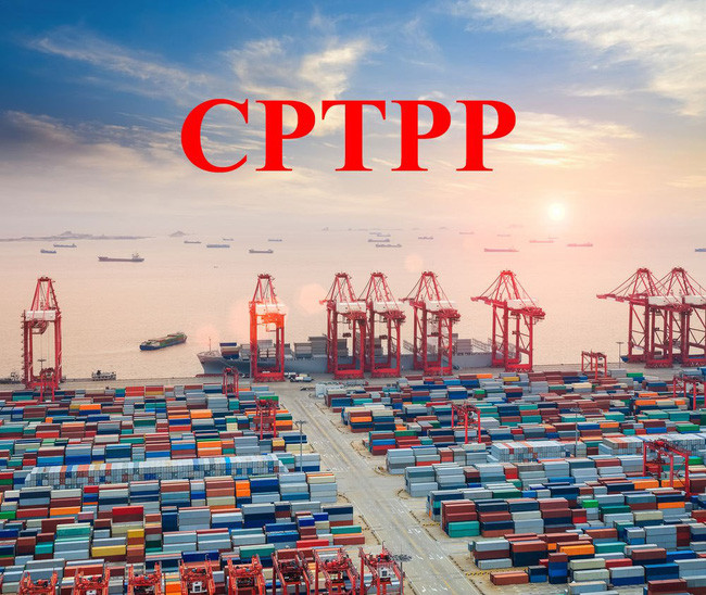 Le Vietnam et la Nouvelle-Zélande préparent l’entrée en vigueur du CPTPP ảnh 1