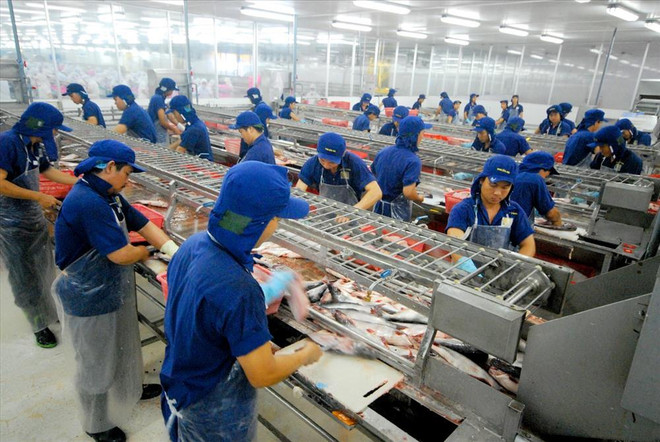 Les EAU, premier débouché des pangasius du Vietnam au Moyen-Orient ảnh 1 Les EAU, premier débouché des pangasius du Vietnam au Moyen-Orient ảnh 1