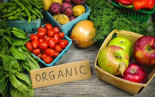 Construire les maillons de la chaîne en agriculture biologique ảnh 1