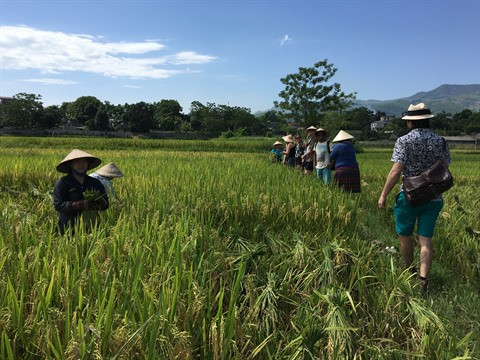 Tourisme expérientiel : cette autre façon de voyager ảnh 1