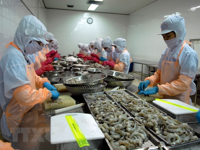 Crevettes : Le Canada, un marché d’exportation potentiel du Vietnam ảnh 1 Crevettes : Le Canada, un marché d’exportation potentiel du Vietnam ảnh 1