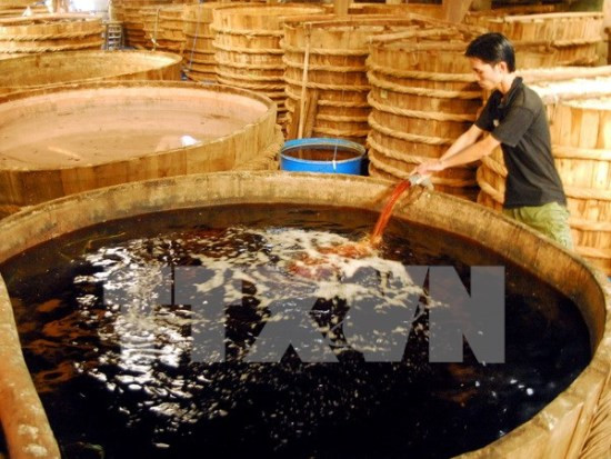 100% des échantillons de saumure de poisson sont sûrs (officiel) ảnh 1 100% des échantillons de saumure de poisson sont sûrs (officiel) ảnh 1
