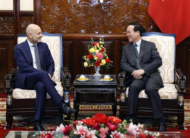 Le président reçoit l'ambassadeur italien au Vietnam ảnh 2