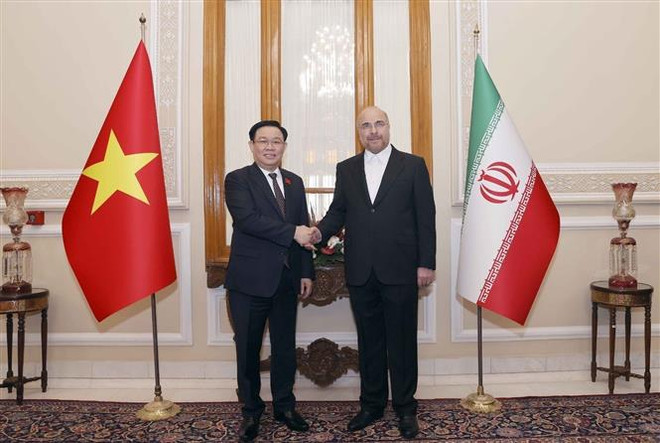 Entretien entre les présidents des organes législatifs du Vietnam et d’Iran ảnh 1 Entretien entre les présidents des organes législatifs du Vietnam et d’Iran ảnh 1