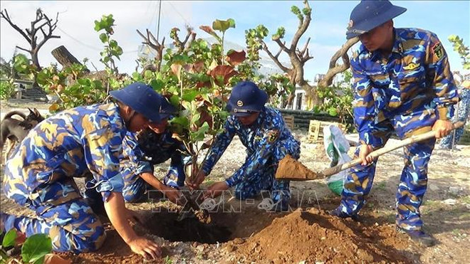 La province de Khanh Hoa travaille pour verdir davantage Truong Sa ảnh 1 La province de Khanh Hoa travaille pour verdir davantage Truong Sa ảnh 1