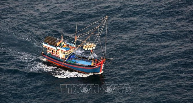 Mettre en œuvre de toute urgence des mesures fortes contre la pêche INN ảnh 1 Mettre en œuvre de toute urgence des mesures fortes contre la pêche INN ảnh 1