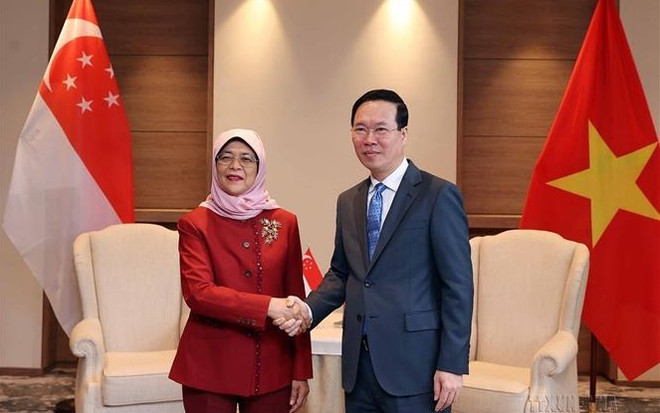 50 ans des relations Vietnam-Singapour: porter leur partenariat stratégique à une nouvelle hauteur ảnh 1 50 ans des relations Vietnam-Singapour: porter leur partenariat stratégique à une nouvelle hauteur ảnh 1