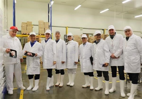 La province russe de Bryansk cherche un partenaire de jumelage au Vietnam ảnh 1 La province russe de Bryansk cherche un partenaire de jumelage au Vietnam ảnh 1