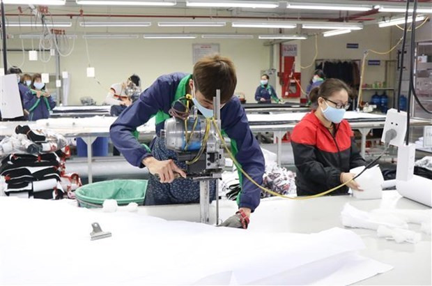 Le Vietnam cherche à profiter de l'EVFTA pour stimuler les exportations vers les Pays-Bas ảnh 1