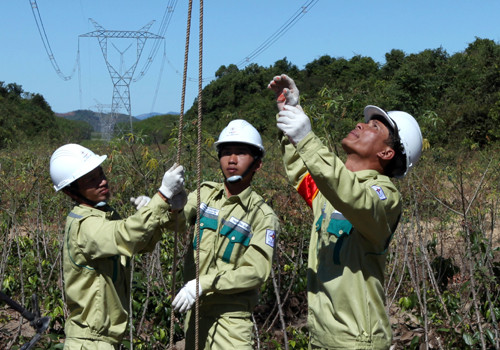 Approvisionnement en électricité pour les districts de Bac Tra My et de Nam Tra My ảnh 1