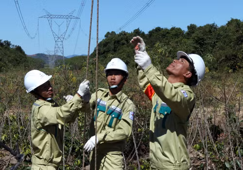 Approvisionnement en électricité pour les districts de Bac Tra My et de Nam Tra My ảnh 1