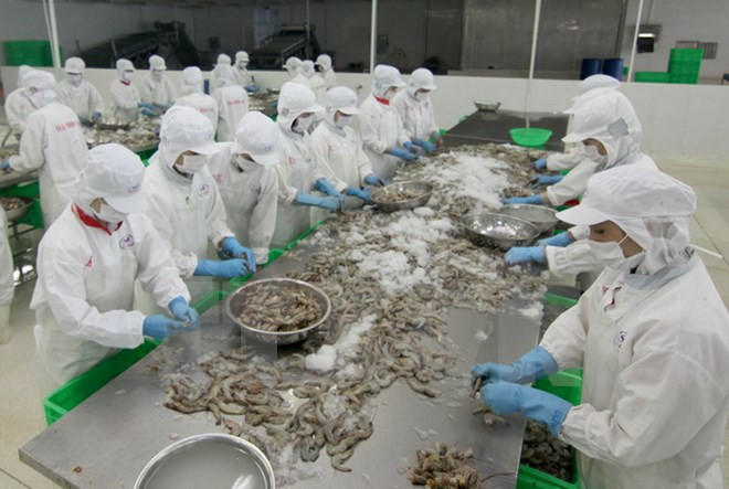 Crevettes : le Vietnam vise une valeur d'exportation de 5 milliards de dollars ảnh 1