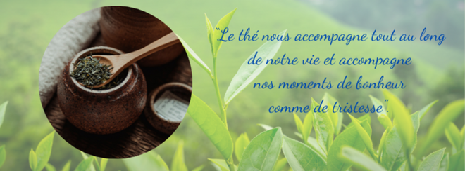 Bill Gates découvre la culture du thé vietnamienne sur le mont Bàn Co ảnh 4 Bill Gates découvre la culture du thé vietnamienne sur le mont Bàn Co ảnh 4