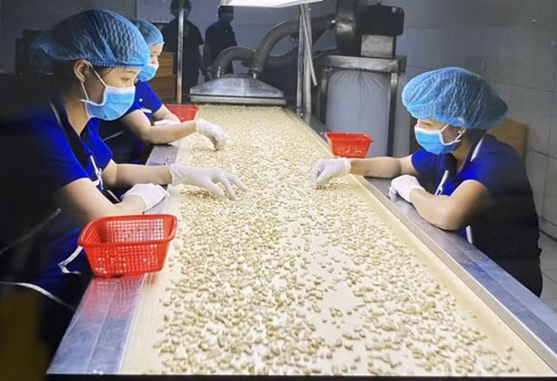 L'économie vietnamienne devrait connaître une croissance de 5,5 % au premier trimestre ảnh 1