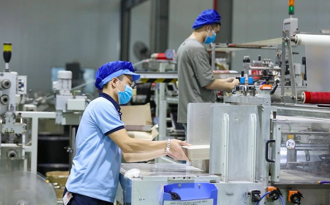 Plus de 41 000 entreprises nouvellement créées et reprenant leurs activités en deux mois ảnh 1