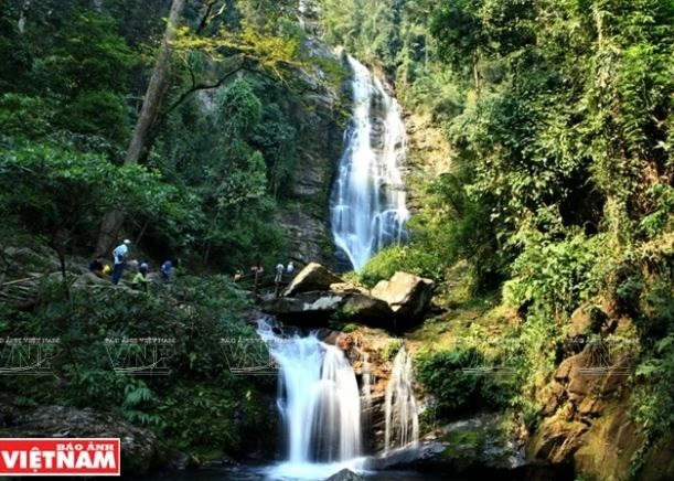 Un plan de protection de la biodiversité de la réserve de biosphère à l’ouest de Nghe An dévoilé ảnh 1 Un plan de protection de la biodiversité de la réserve de biosphère à l’ouest de Nghe An dévoilé ảnh 1