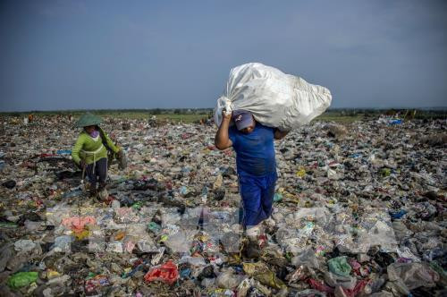 Le secteur de l’aquaculture dit non aux déchets plastiques océaniques ảnh 1 Le secteur de l’aquaculture dit non aux déchets plastiques océaniques ảnh 1