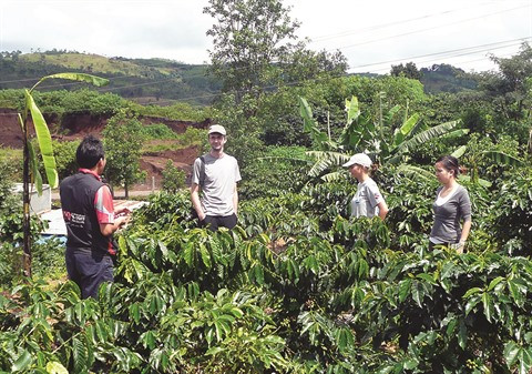 Quand tourisme rime avec agriculture au Tây Nguyên ảnh 1 Quand tourisme rime avec agriculture au Tây Nguyên ảnh 1