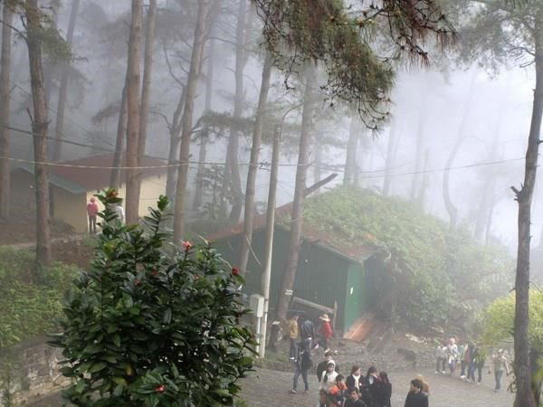 Vinh Phuc favorise l'exploitation du tourisme rural ảnh 1 Vinh Phuc favorise l'exploitation du tourisme rural ảnh 1