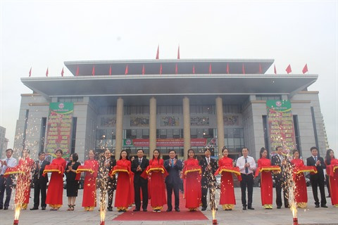 Central Group s'engage à consommer 350 tonnes de litchi de Luc Ngan ảnh 1