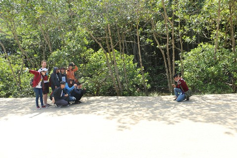 Hô Chi Minh-Ville: développer les circuits d’éco et d’agro-tourisme ảnh 1 Hô Chi Minh-Ville: développer les circuits d’éco et d’agro-tourisme ảnh 1