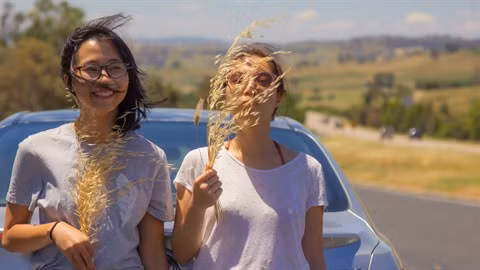 Blanc’ Vietnam : une start-up en ligne exemplaire ảnh 2