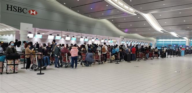 Plus de 300 Vietnamiens rapatriés du Canada et de République de Corée ảnh 1