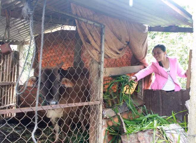 Offrir un meilleur avenir aux victimes de l’agent orange ảnh 2