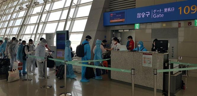 COVID-19 : plus de 230 Vietnamiens rapatriés de République de Corée ảnh 1