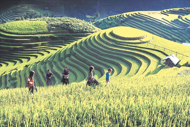 À Mu Cang Chai, l’écotourisme rime avec la préservation de l’identité culturelle ảnh 2 À Mu Cang Chai, l’écotourisme rime avec la préservation de l’identité culturelle ảnh 2