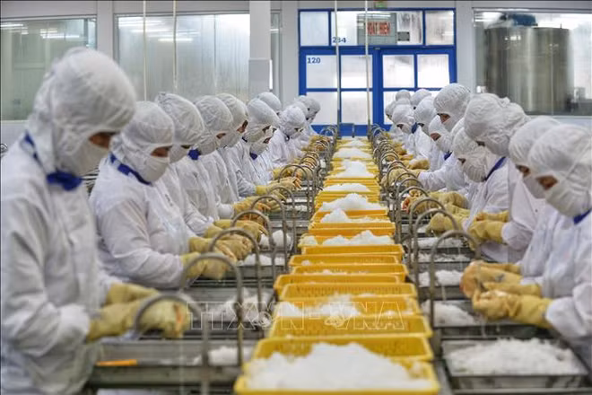 Bernama de Malaisie salue les efforts du Vietnam dans le contexte de la pandémie ảnh 1